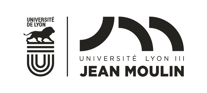 Université Jean Moulin Lyon 3 Université Jean Moulin Lyon 3